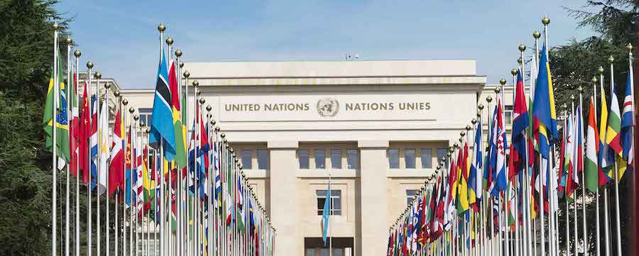 trabajar en la onu